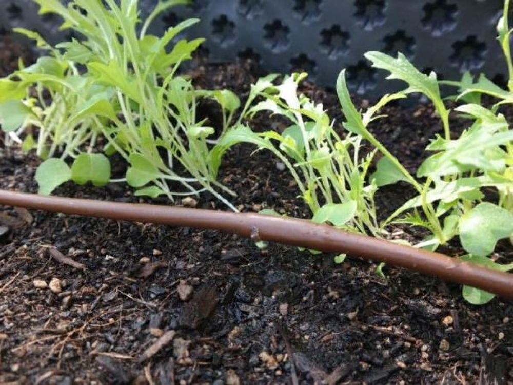 biogarten Bewässerung für Hochbeete